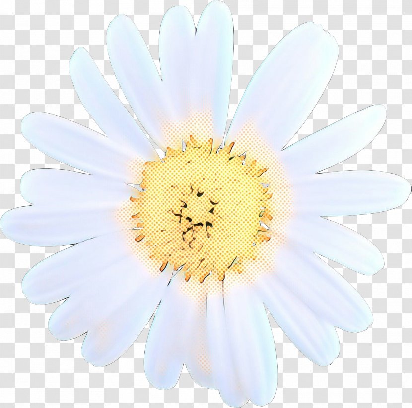Daisy - Mayweed Yellow Transparent PNG