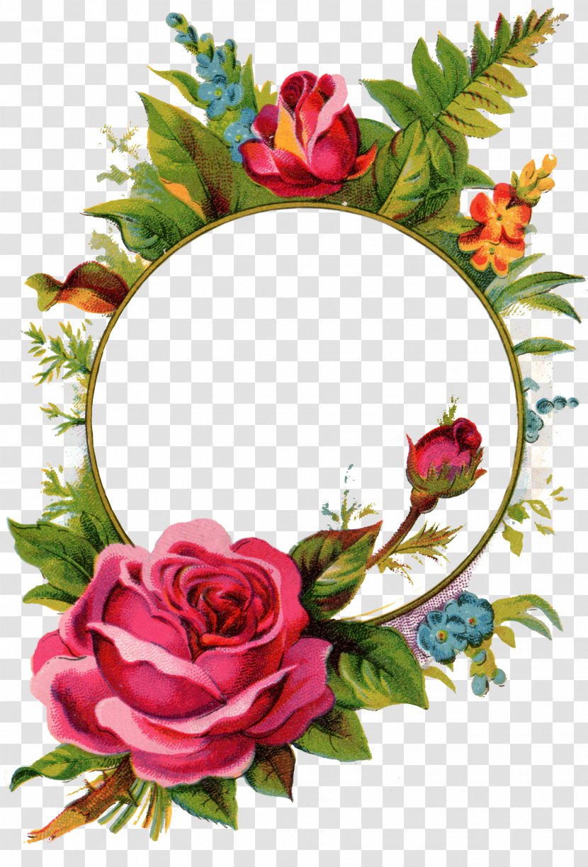 Picture Frames Rose Stock Photography Royalty-free Clip Art - Garden Roses - Floral Transparent PNG