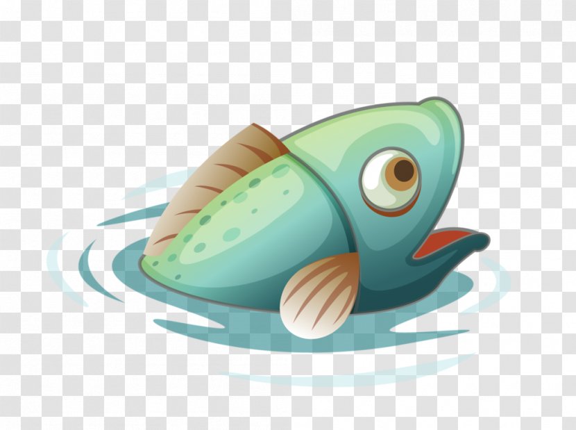Fish Image Cartoon 热带观赏鱼 Drawing - Amphibian Transparent PNG