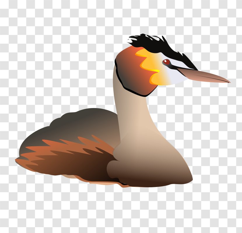 Clip Art Duck Image - Ducks Geese And Swans Transparent PNG