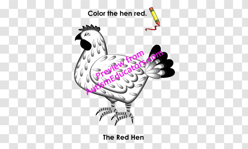 Rooster Chicken Clip Art Illustration Beak - Bird - Rani Transparent PNG