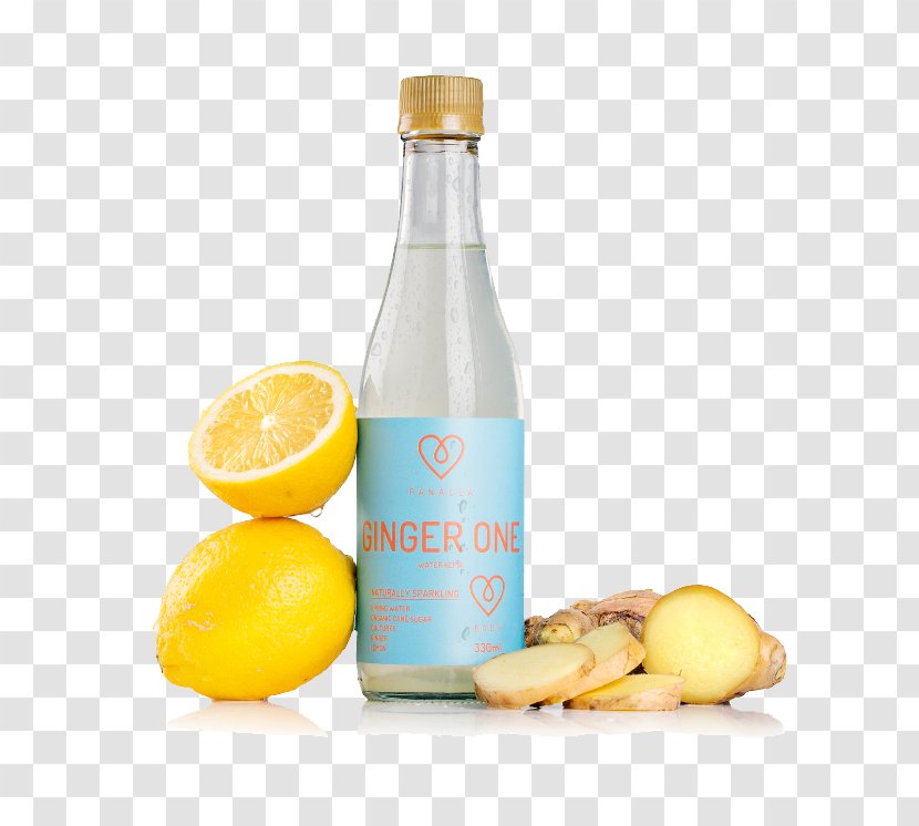 Limoncello Lemonade Tibicos Kefir - Liqueur - Drink To One's Content Transparent PNG