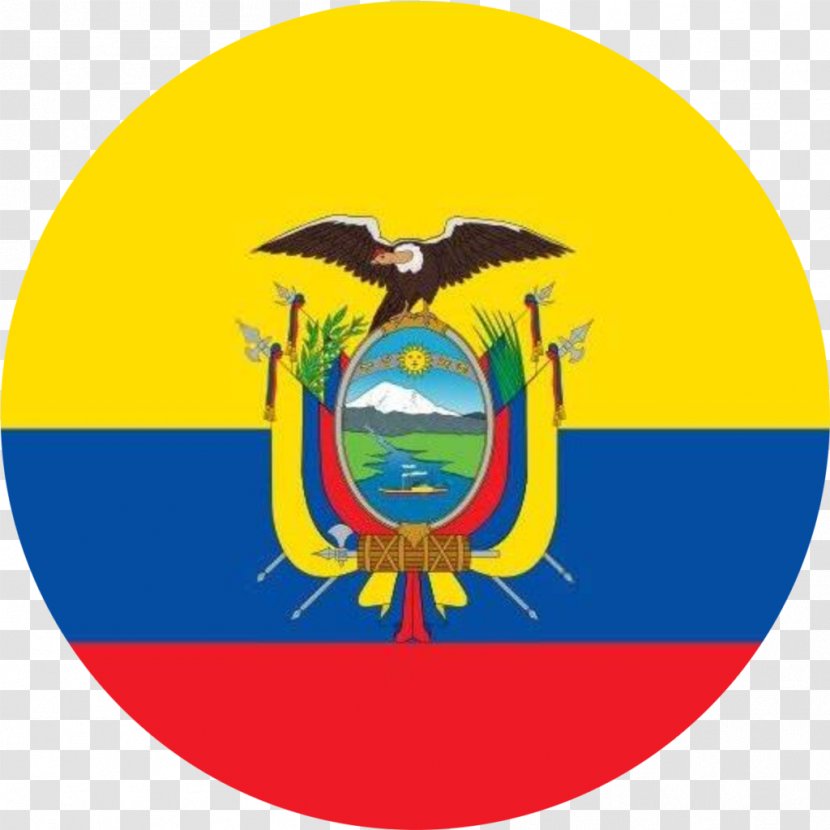 Flag Of Ecuador Colombia Brazil - Singapore Transparent PNG