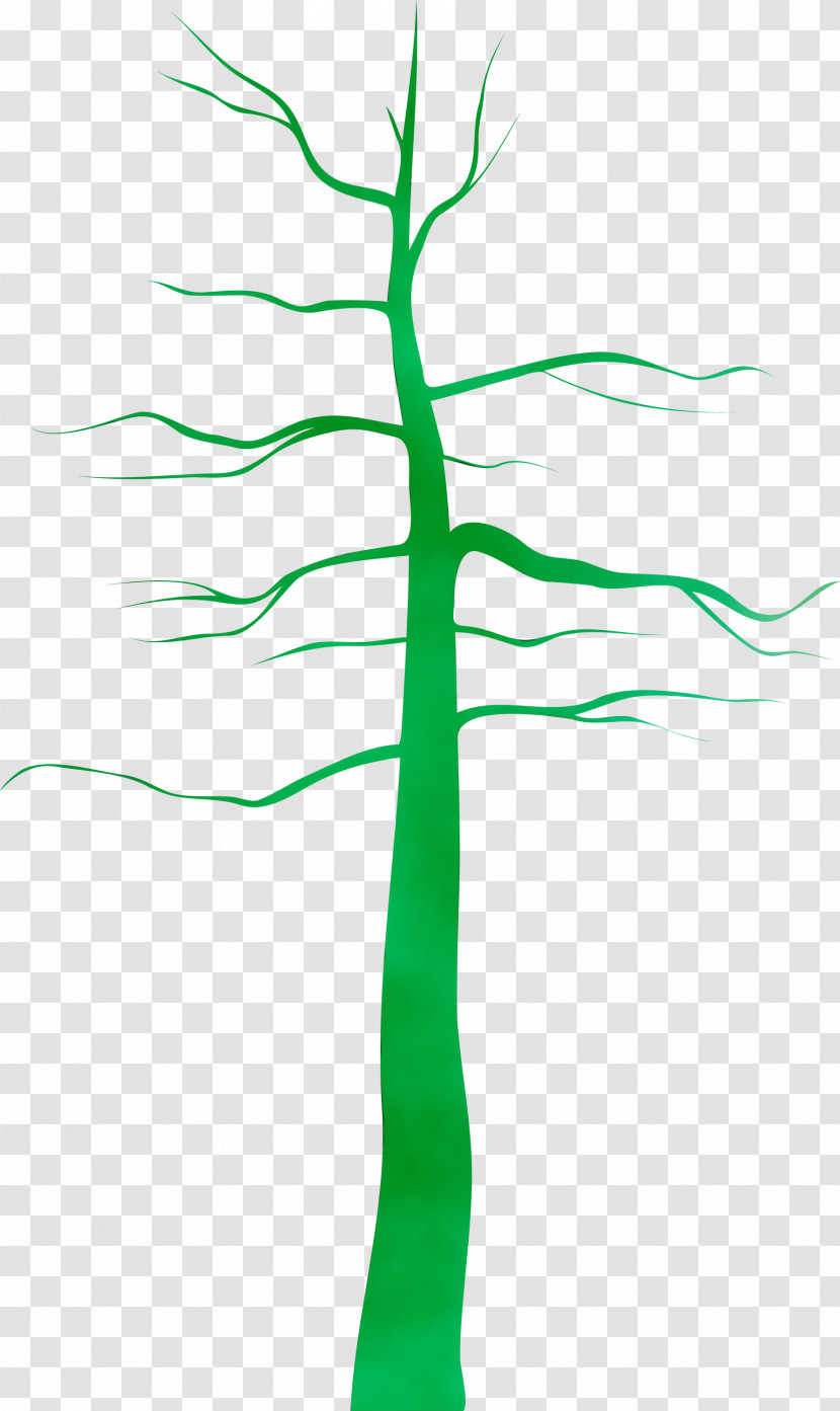 Green Leaf Line Tree Plant Stem Transparent PNG