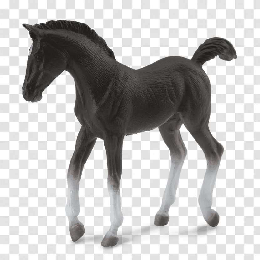 Tennessee Walking Horse Foal Stallion Black Forest Shire - Chestnut - Toys Transparent PNG