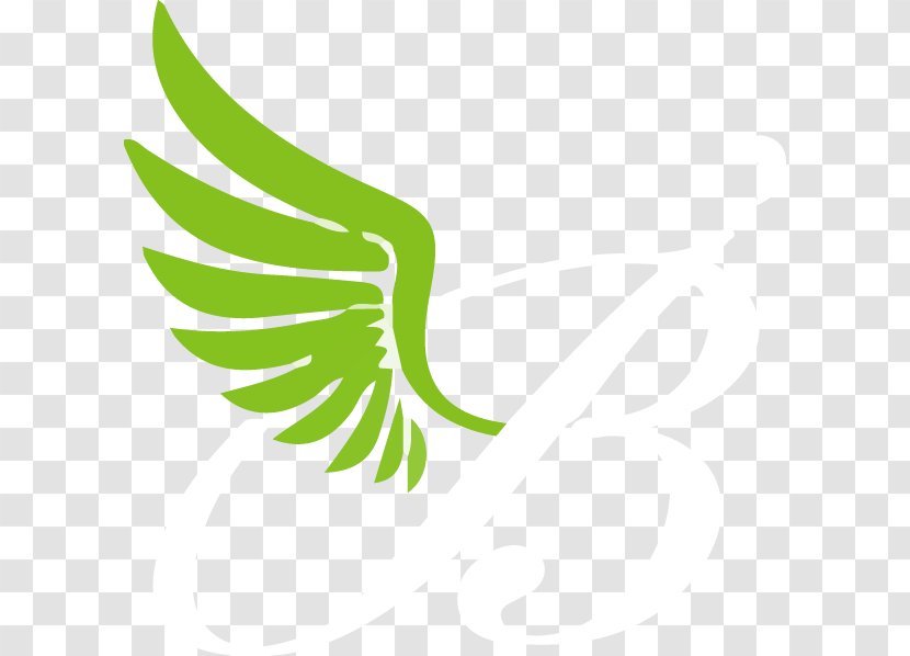 Leaf Logo Plant Stem Beak Font - Green Transparent PNG