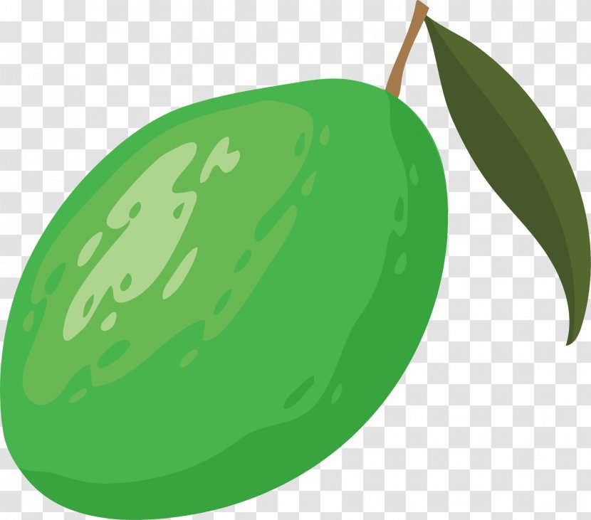 Cartoon Lemon - Plant - Vector Illustration Of Transparent PNG