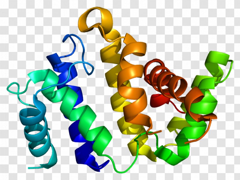 Rho-associated Protein Kinase ARHGAP26 Gene PyMOL - Cartoon - Flower Transparent PNG