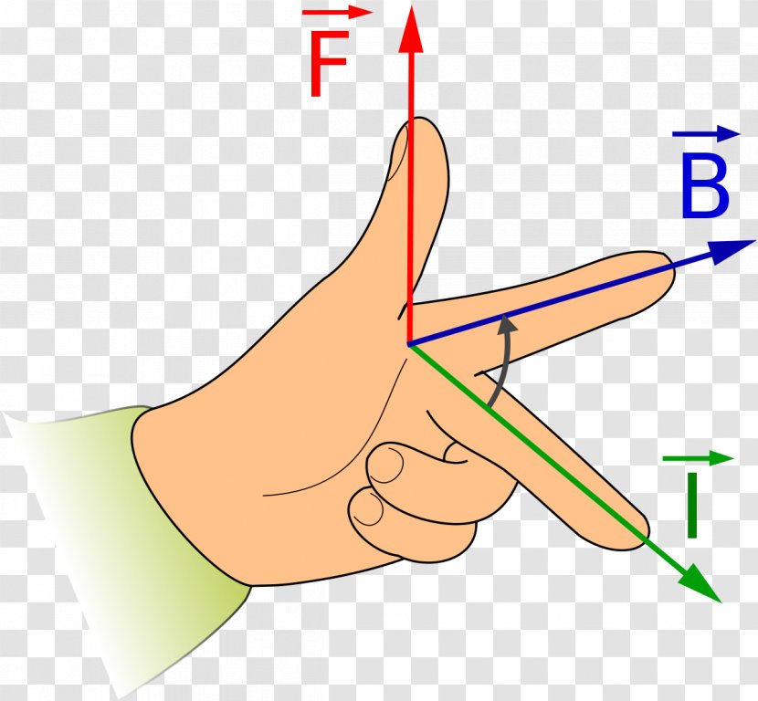 Fleming's Left-hand Rule For Motors Right-hand Magnetic Field Force - Tree - PLACES Transparent PNG