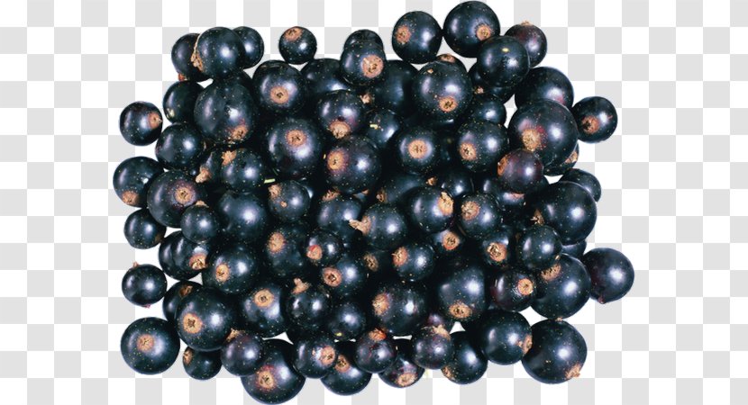 Huckleberry Zante Currant Bilberry Blueberry Juniper Berry - Food - Blackcurrant Transparent PNG