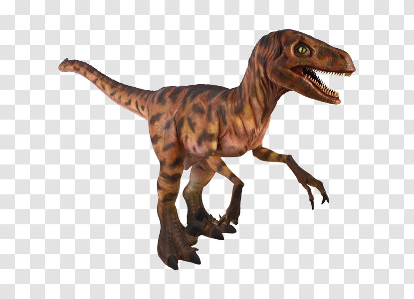 Velociraptor Allosaurus Dinosaur Animal Tyrannosaurus Rex - Heart - Esculturas De Botero Transparent PNG