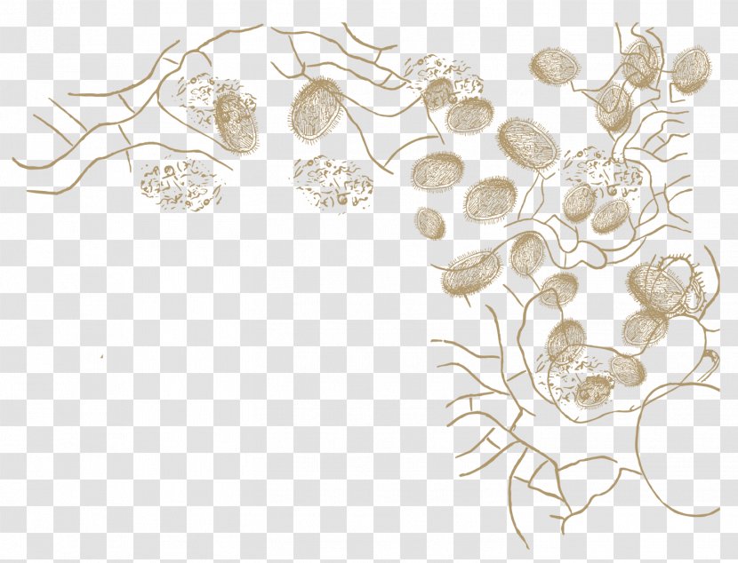 Drawing Flower /m/02csf Body Jewellery - Italy Sketch Transparent PNG