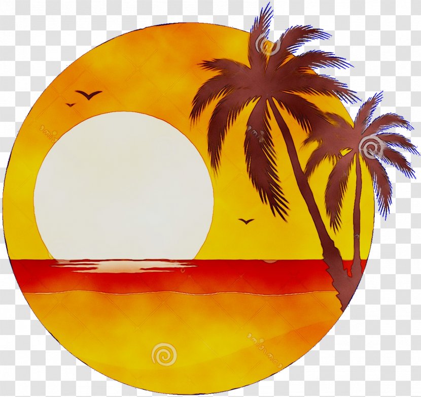 Yellow Orange S.A. - Sa - Palm Tree Transparent PNG