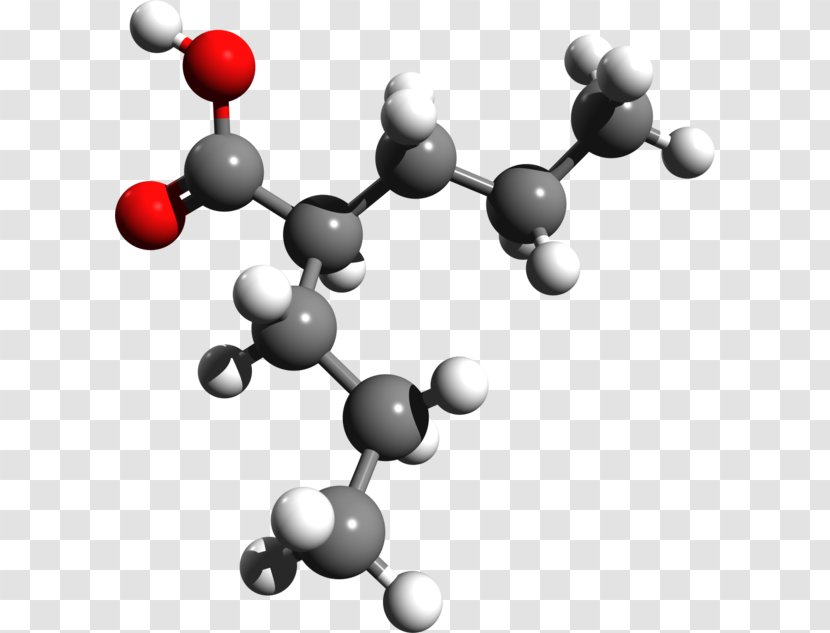 Sodium Valproate Anticonvulsant Pharmaceutical Drug Acid Quetiapine - Tree Transparent PNG