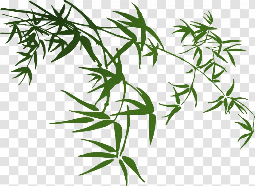 Bamboo Download - Chinese Wind Style Cartoon Pictures,Fresh Transparent PNG