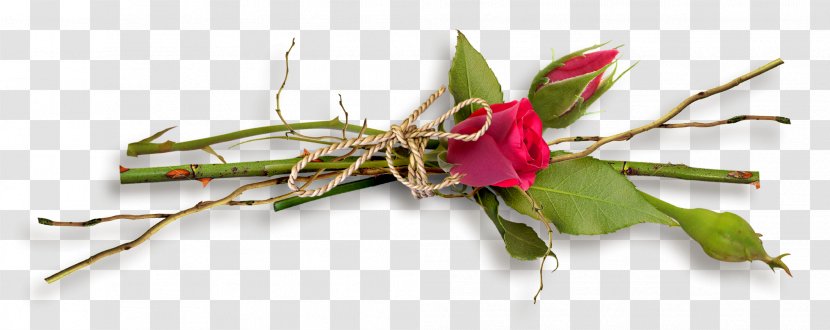 Garden Roses Renov'hair Blog Flower Bouquet The Truth Of Life This World - Rose Family - Gladiolus Transparent PNG