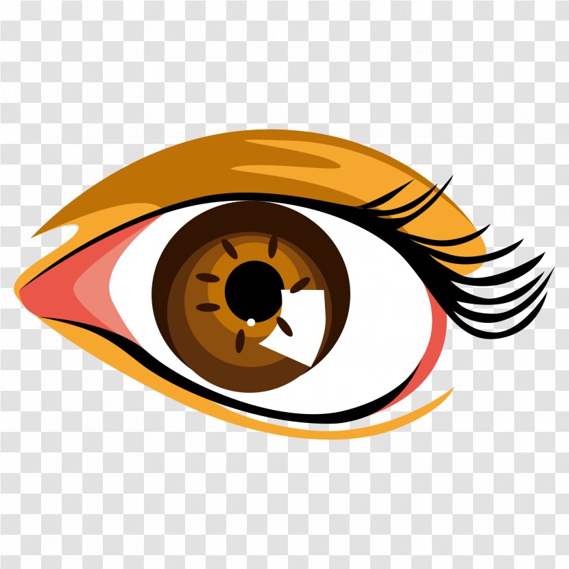 Eye Clip Art - Eyelash - Vector Color Cartoon Eyes Transparent PNG