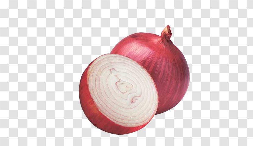 Onion Hair Loss Botak Care - Head - Purple Vegetable Transparent PNG
