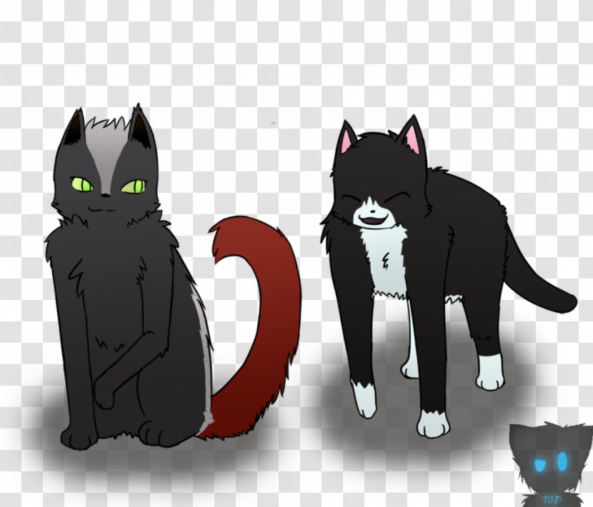 Cat Character Cartoon - Small To Medium Sized Cats Transparent PNG