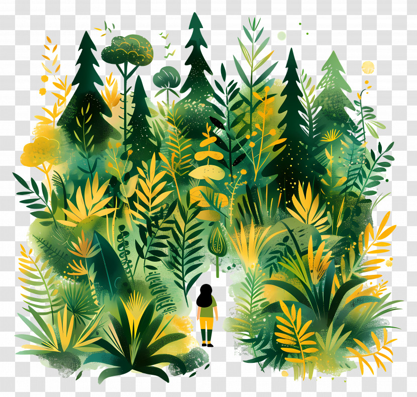 Forest Jungle - Person In Dense Forest Transparent PNG