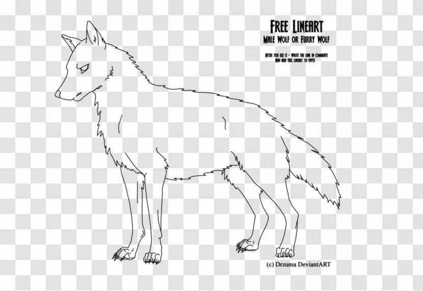 Line Art Furry Fandom Drawing Gray Wolf Cartoon - Tree - Heart Transparent PNG