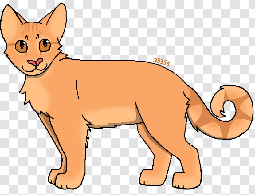 Whiskers Cougar Cat Lion Red Fox - Nose Transparent PNG