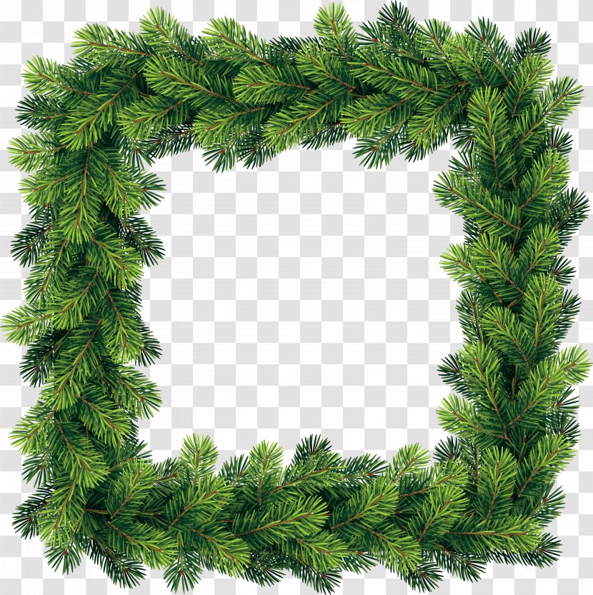 White Christmas Tree - Grass - Twig Juniper Transparent PNG