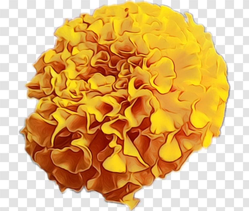 Orange - Wet Ink - Petal Cut Flowers Transparent PNG