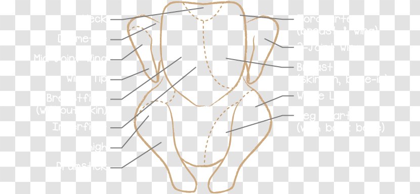 Ear Line Art Shoe Point Angle - Flower - Chicken Satay Transparent PNG