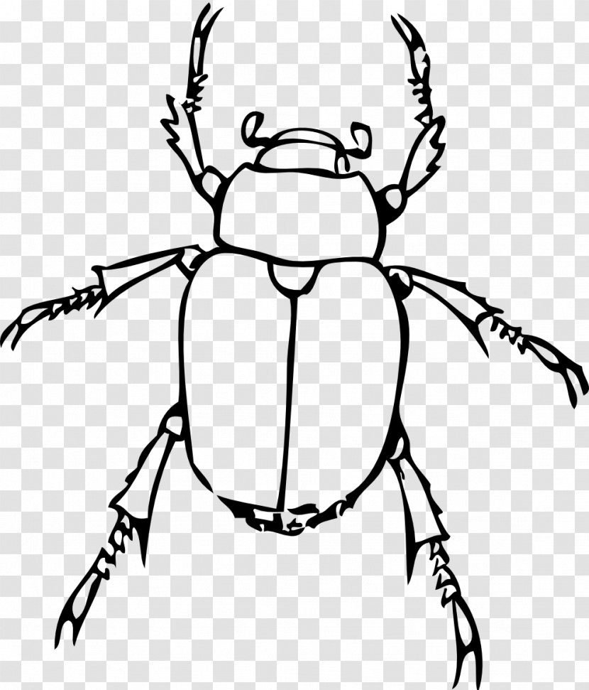 Insect Bug Drawing Book Clip Art - Line Transparent PNG