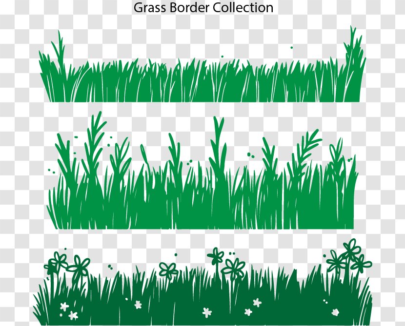 Download - Commodity - Grass Border Background Transparent PNG