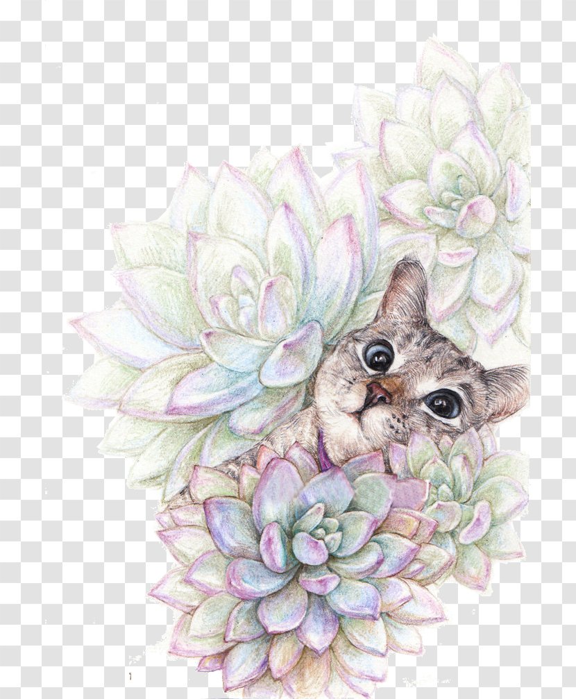 Cat Succulent Plant Watercolor Painting Colored Pencil Illustration - Cute Transparent PNG