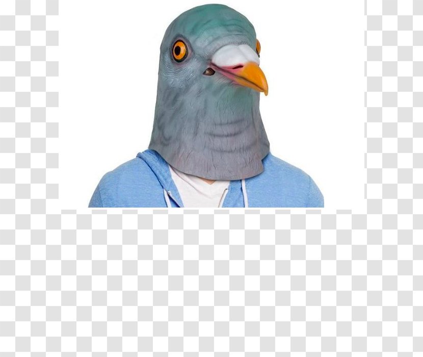 Columbidae Amazon.com Domestic Pigeon Horse Head Mask - Clothing - Harem Transparent PNG