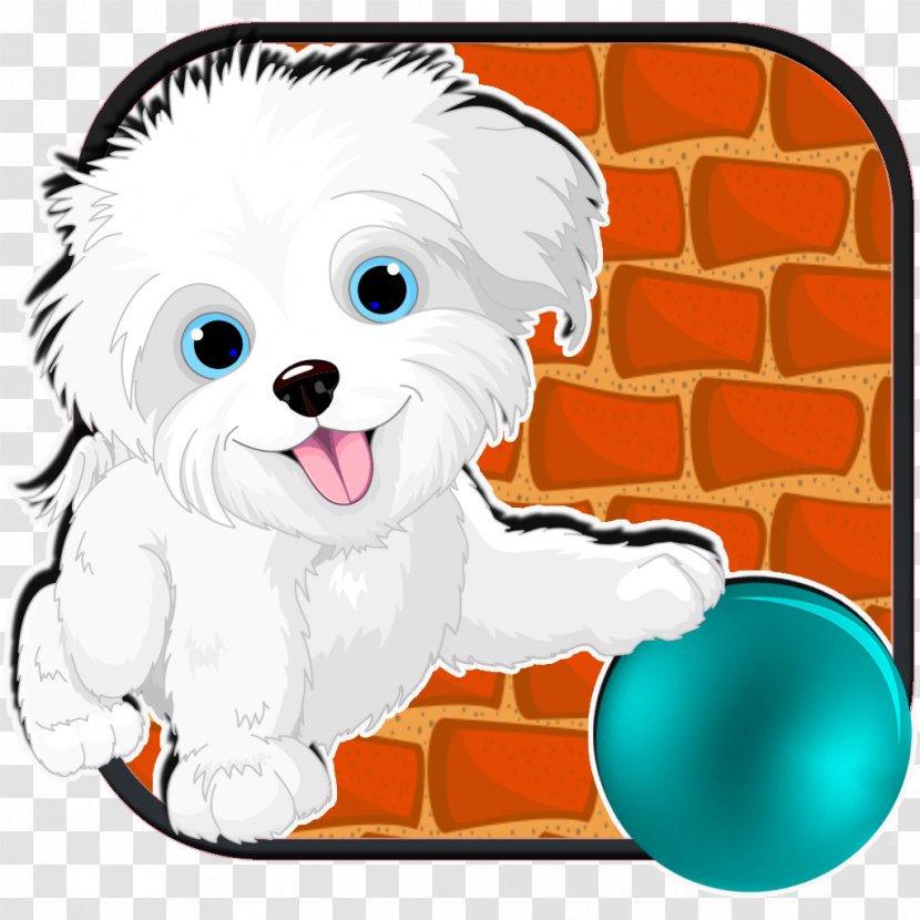 Yorkshire Terrier Puppy Companion Dog Breed - Yorkie Transparent PNG