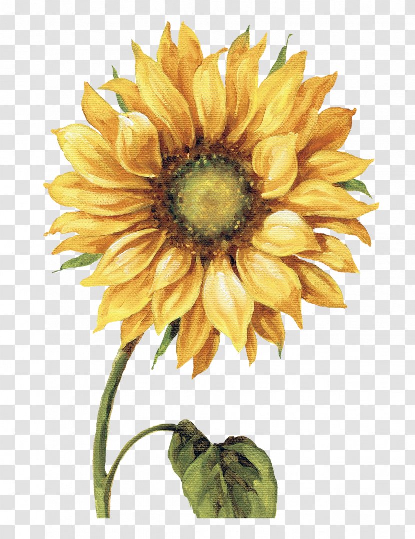 Work Of Art Drawing Common Sunflower Printmaking Painting - Seed Transparent PNG