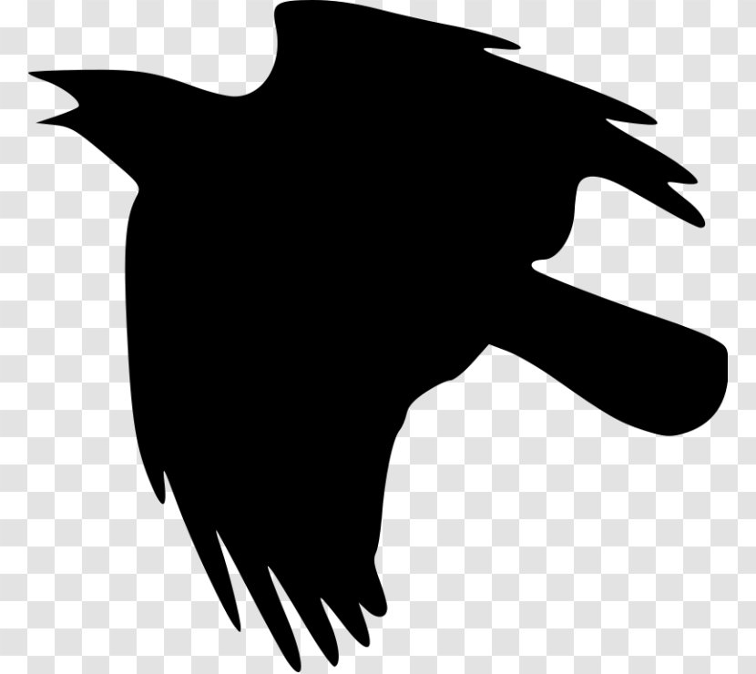 American Crow Clip Art - Bird Transparent PNG