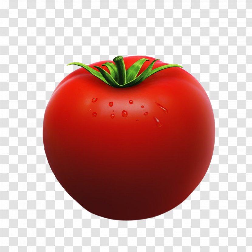 Plum Tomato Taco Bush Food - Apple Transparent PNG