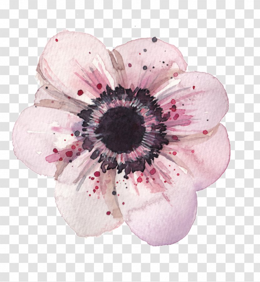 Flower Anemone Watercolor Painting Drawing - Garden Roses Transparent PNG