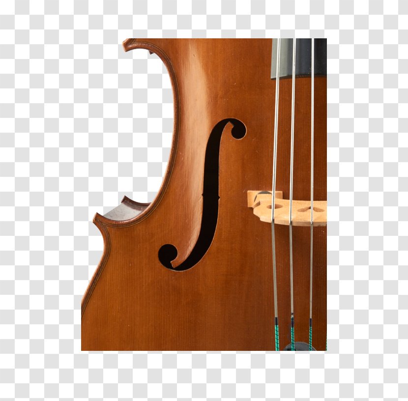 Bass Violin Double Violone Viola Guitar - Tree Transparent PNG