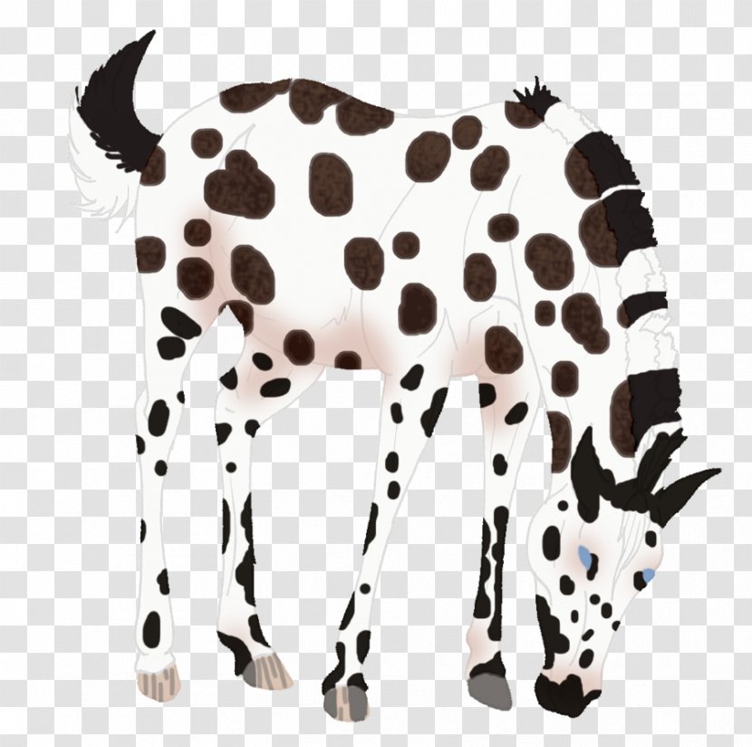 Dalmatian Dog Cattle Wildlife Animal - Carnivoran Transparent PNG