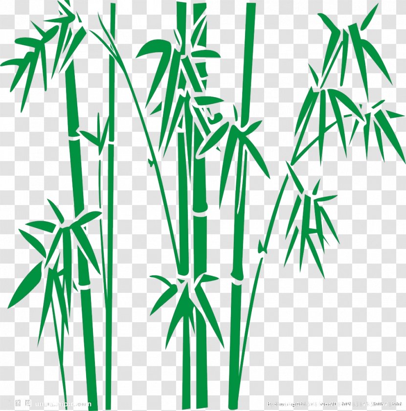 Bamboo Clip Art - Tree Transparent PNG