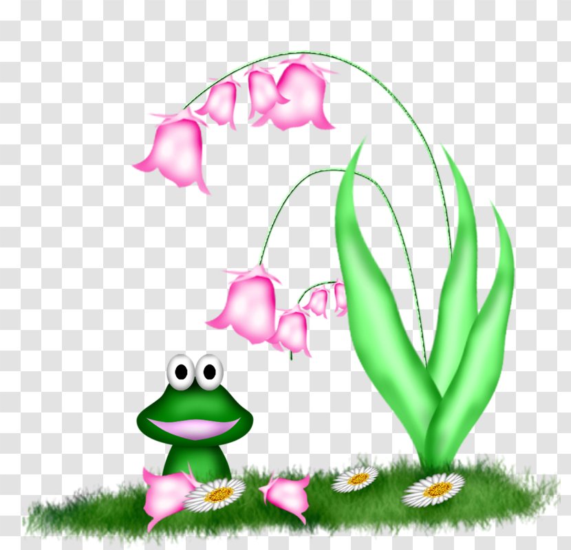 Tree Frog Art Clip - Cartoon Transparent PNG