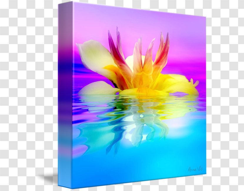 Gallery Wrap Still Life Photography Flower Graphics Canvas - Flowering Plant Transparent PNG