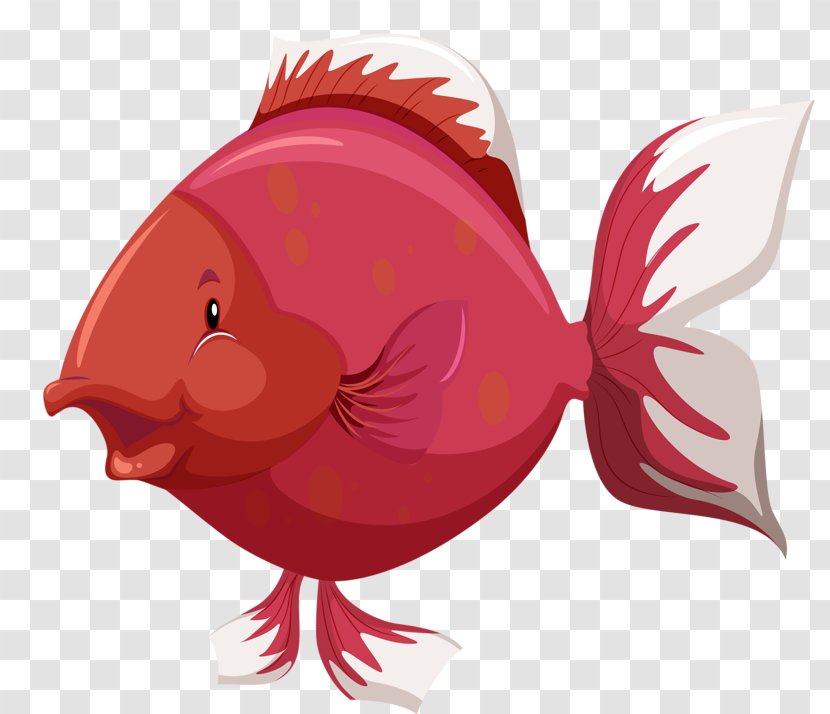 Fish Anatomy Clip Art - Gill - Red Transparent PNG