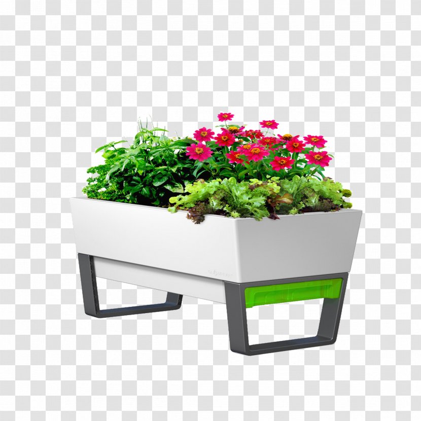 Garden Watering Can Planter Flowerpot Flower Box - Plants Transparent PNG