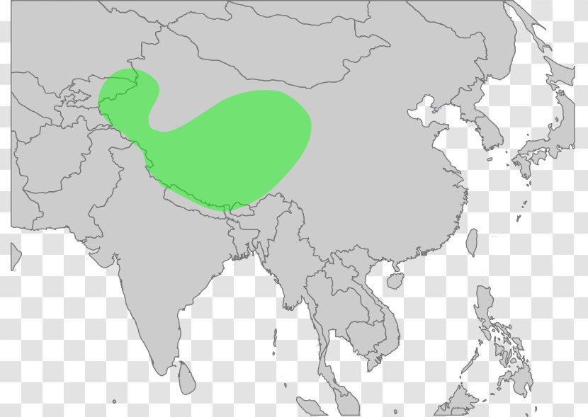 World Map United States Asia - Organism Transparent PNG