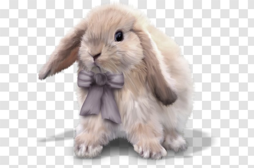 Domestic Rabbit Easter Bunny European Leporids - Drawing Transparent PNG