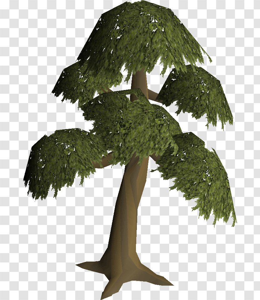 Old School RuneScape English Yew Branch Tree - Plane - Building tree Transparent PNG