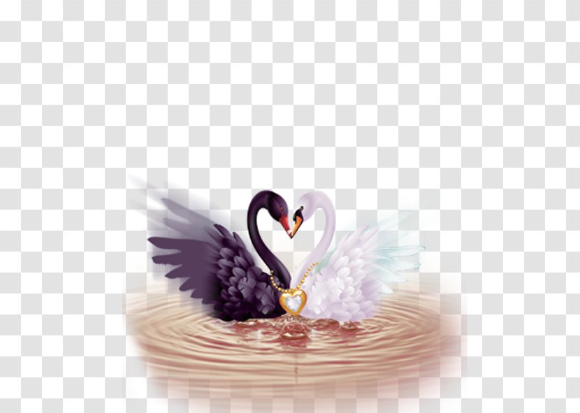 Diamond Embroidery Cross-stitch Rhinestone Paint - Purple - Swan Transparent PNG