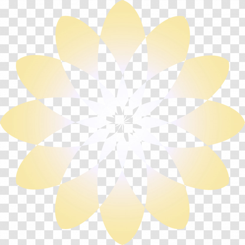 Yellow White Petal Flower Plant Transparent PNG